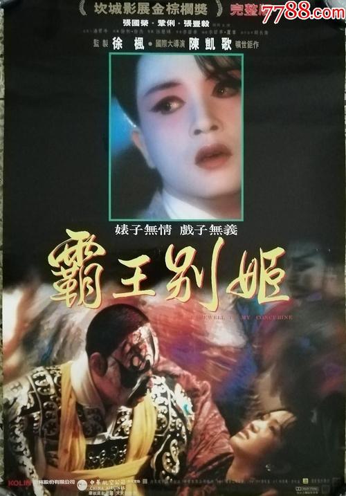买个假的新布伦瑞克省驾驶证
